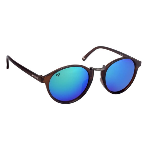 Walrus James Series Oval Sunglasses for Men & Women | UV Protection, Clear Lenses, Vintage Fashionable Look | Perfect for Selfies