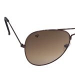 Walrus John Series Brown Aviator Men Sunglass